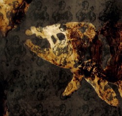 pesce