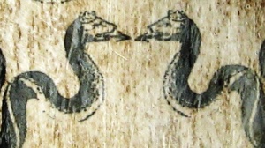 serpenti